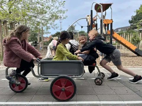IMG 1333
